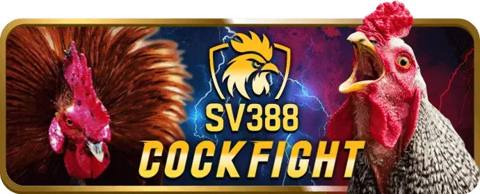 Hỗ trợ khách hàng Win55